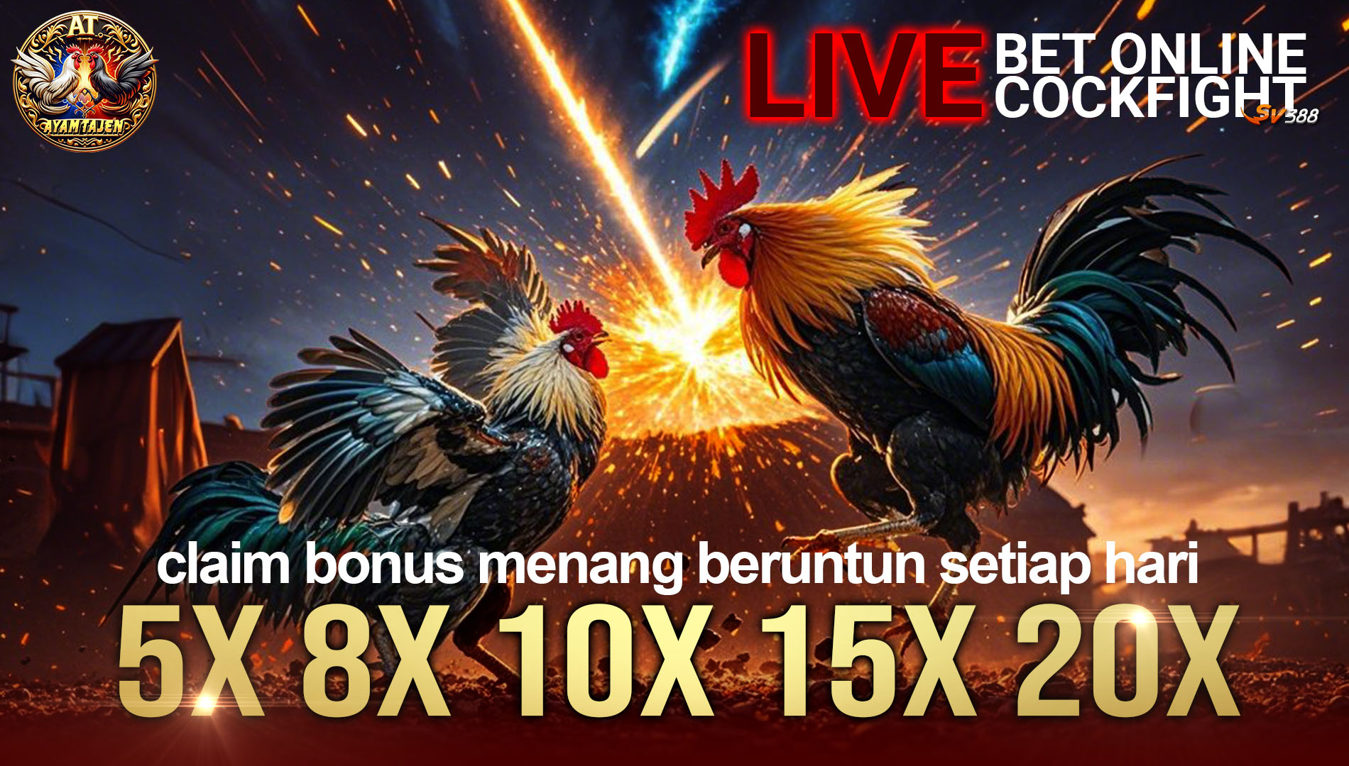 Sabung Ayam Online Bonus AyamTajen